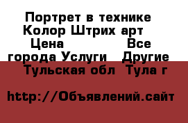 Портрет в технике “Колор-Штрих-арт“ › Цена ­ 250-350 - Все города Услуги » Другие   . Тульская обл.,Тула г.